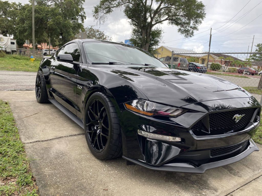 Black Mustang GT For Paint Correction Services in Tampa, FL.
